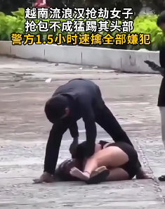 越南一流浪汉公园内殴打抢劫女子