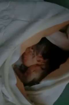 太残忍！兰州一环卫工垃圾桶内捡弃婴！