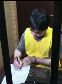 王振华因涉嫌猥亵儿童罪被批捕