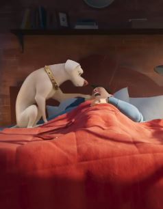 电影《DC超级宠物联盟》预告 巨石强森等众多明星献声配音