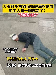 南昌一大爷散步被狗追摔倒满脸是血 狗主人看一眼便走人