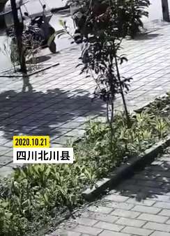 四川北川县发生4.6级地震，震源深度17千米