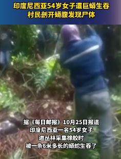 印尼一女子遭巨蟒生吞 村民剖开蟒腹发现尸体