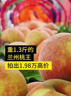 兰州安宁蟠桃会上 1.3斤桃王拍出1.98万高价