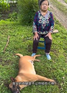 萌宠搞笑：你把我的鸡腿吃了，该打！