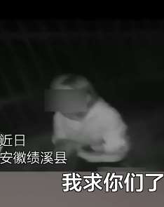 弟弟醉驾姐姐顶包跪地求情