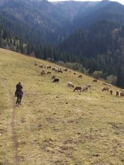 航拍新疆那拉提大草原绝色美景