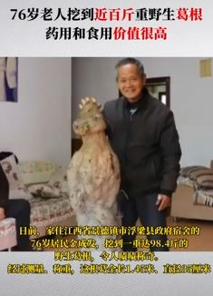 江西一老人挖到重达98.4斤野生葛根