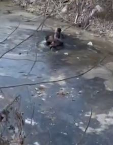 2幼童冰面玩耍不慎落水 热心路人带病下水救人