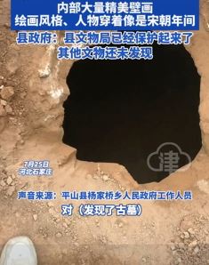 网传河北一村庄发现古墓 内有大量精美壁画