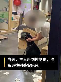 杜宾犬宠物店洗澡后咬伤3人 防暴队出动抓狗