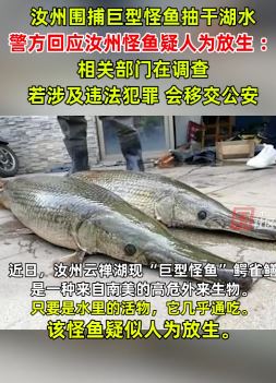 警方回应汝州怪鱼疑人为放生