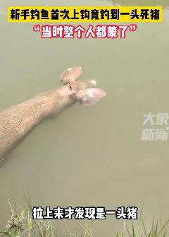 江西九江一男子钓鱼钓到一头死猪