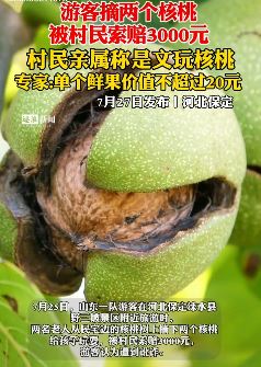 游客摘俩核桃被村民索赔3000元 村民亲属：是文玩核桃
