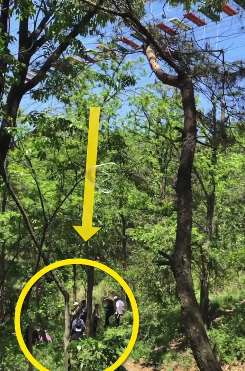 大连一女孩玩高空游乐项目发生意外致多处骨折