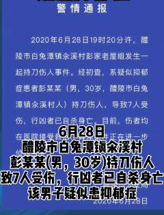 湖南一男子持刀伤7人后自杀 疑患抑郁症