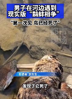 男子河边遇到现实版鹬蚌相争 一只河蚌紧紧夹着鸟嘴鸟已死去