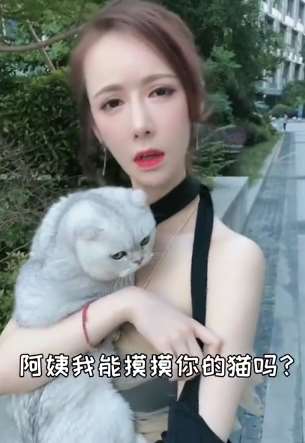 搞笑：阿姨我能摸摸你的猫吗？