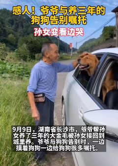 爷爷与养了3年的狗狗暖心告别