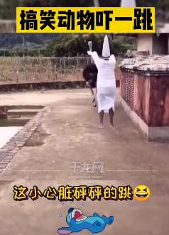 动物搞笑：吓一跳，小心脏真受不了！