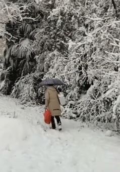 湖南宁乡一村医冒大雪为老人免费送医送药