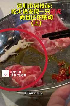 深圳一吃火锅店顾客吃出壁虎