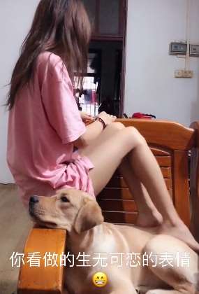 王者荣耀漂亮小姐姐晚8点直播 快手号：xiaoyanzichaoguai