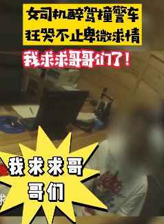 刚拿驾照女司机醉驾撞警车后卑微求情