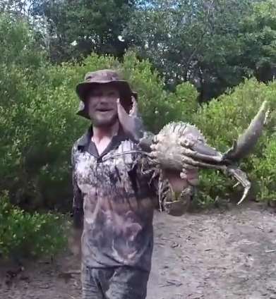 国外男子徒手捉螃蟹，结果从洞中抓到一只超大巨蟹！