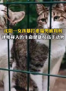 沈阳一女孩暴打虐猫男被判刑
