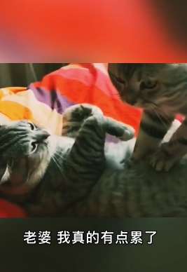 搞笑视频配音：切记吃饭时别看！