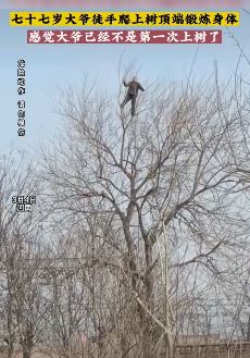 77岁大爷爬上树顶端锻炼身体 站树顶来回摇晃仿佛回到童年