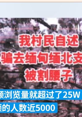 男子为博流量造谣"村民被骗缅北割腰子"被拘