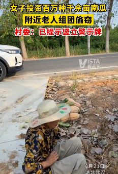 老人组团偷南瓜 被抓后谎称身体有病装可怜