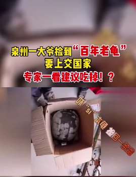 福建一大爷捡到一只"百年老龟"上交国家 专家建议把它"吃掉"