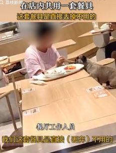 女子带宠物狗进店用餐共用一套餐具 餐厅：所用餐具会直接丢弃
