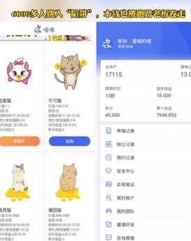 网上养猫能赚钱？6千多人网上养猫被骗！