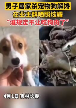 吉林一男子杀宠物狗解馋并发到业主群晒照炫耀