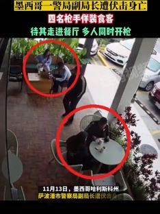 墨西哥一警局副局长遭伏击身亡 枪手佯装食客趁其不备开枪