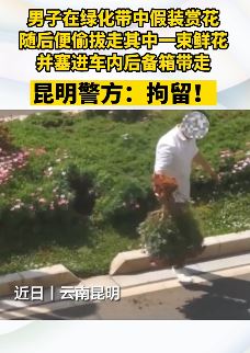 昆明一男子绿化带拔花带走被拘5日