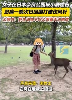 女子曝在日本奈良公园被小鹿撞伤 园方:野生动物不归公园管无法赔偿