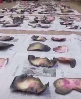 家中遭火灾13.7万现金被烧 银行清点残币后兑换1万多元