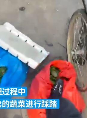 湖州南浔通报“菜农蔬菜被踩”：非城管，系第三方公司员工