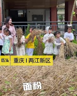 重庆一小学打造农业体验区 组织学生们体验收麦子