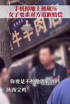 女子手机掉地上被碾压向车主索赔