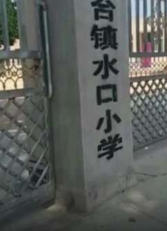 辽宁一小学校长涉嫌性侵被刑拘
