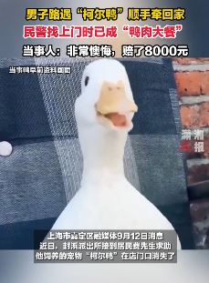 男子把他人宠物柯尔鸭带回家后烹饪赔偿8千元