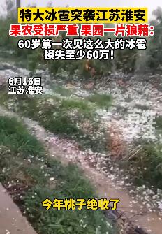 江苏淮安地遭遇特大冰雹 果农损失惨重60年第一次