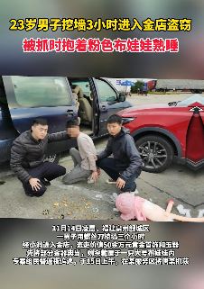 男子挖墙3小时入金店盗窃 被抓时抱布娃娃熟睡