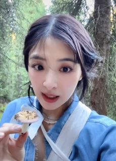 歌手张含韵分享上山采蘑菇vlog，并普及毒蘑菇相关知识！